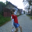 Ivet